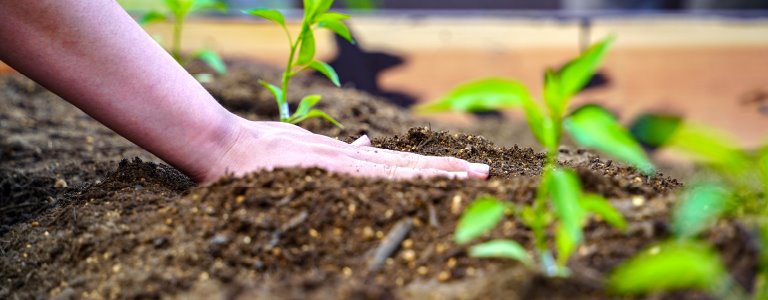 生物多様性に関する情報開示
