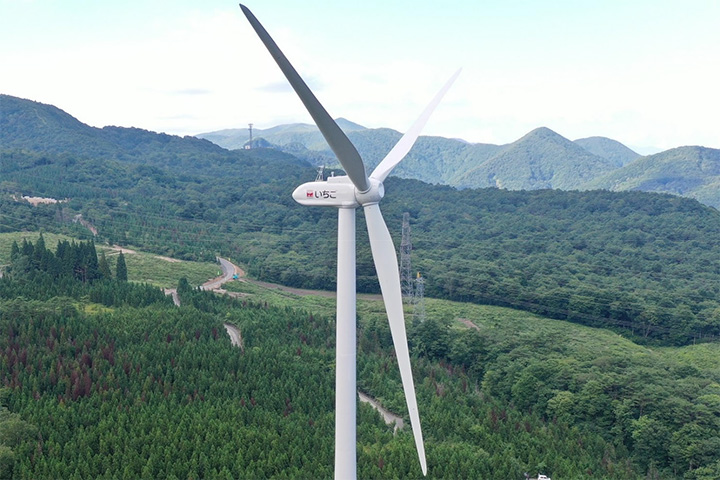 いちご⽶沢板⾕ECO発電所