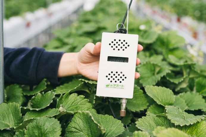 A box containing sensors that monitor the farm’s strawberry plants