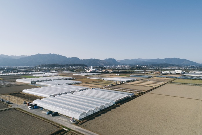 Hinata farm in Miyazaki, a sunny region known for surfing as well as citrus